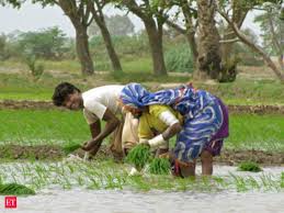 ಜಾಗತಿಕ  ಆರ್ಥಿಕ ಕುಸಿತದಿಂದ  ಕೃಷಿ ಉದ್ಯಮಕ್ಕೆ ಹೊಡೆತ: ಠಾಕೂರ್